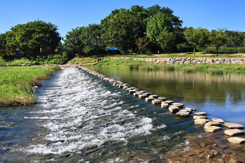 Mosaic Stepping Stones